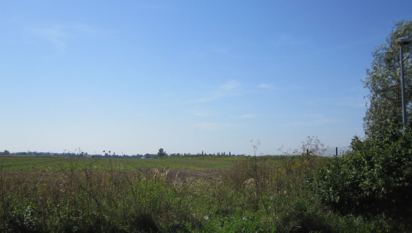 Działka Sprzedaż Lubiczów